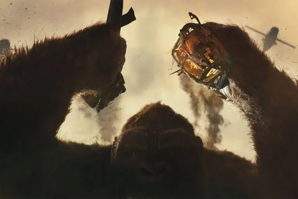 kong mini