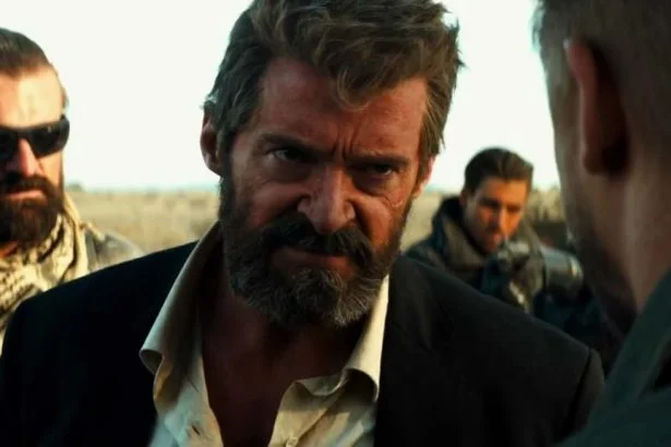Logan - Farkas
