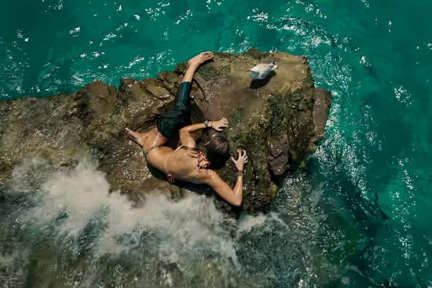 new shark thriller the shallows 0