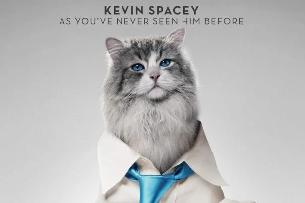 nine lives