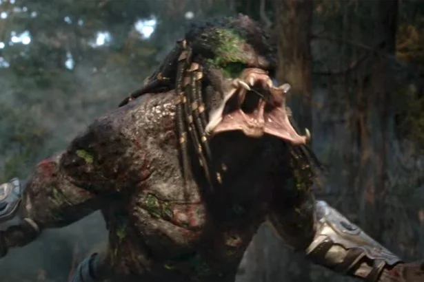 Predator
