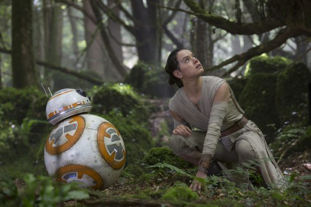 rey bb8