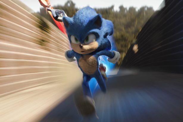 Sonic, a sündisznó
