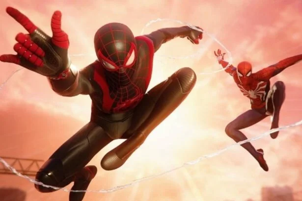 spidexs