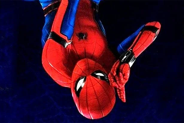 spidy