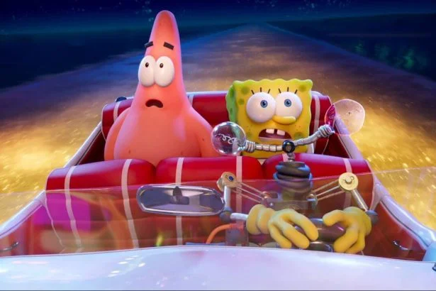 sponge 1