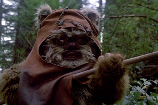 sw ewok Warwick Davis mini