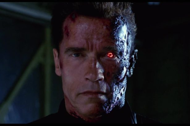 terminator arnold mini