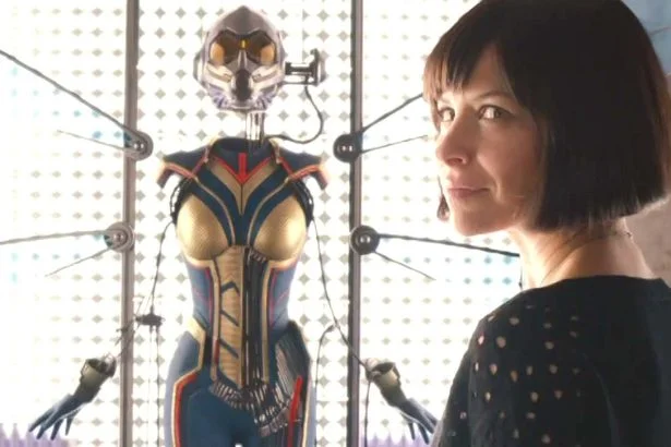 the wasp lilly mini