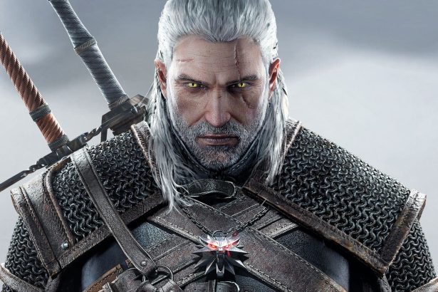 the witcher 1