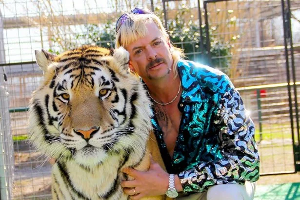 tigerking10