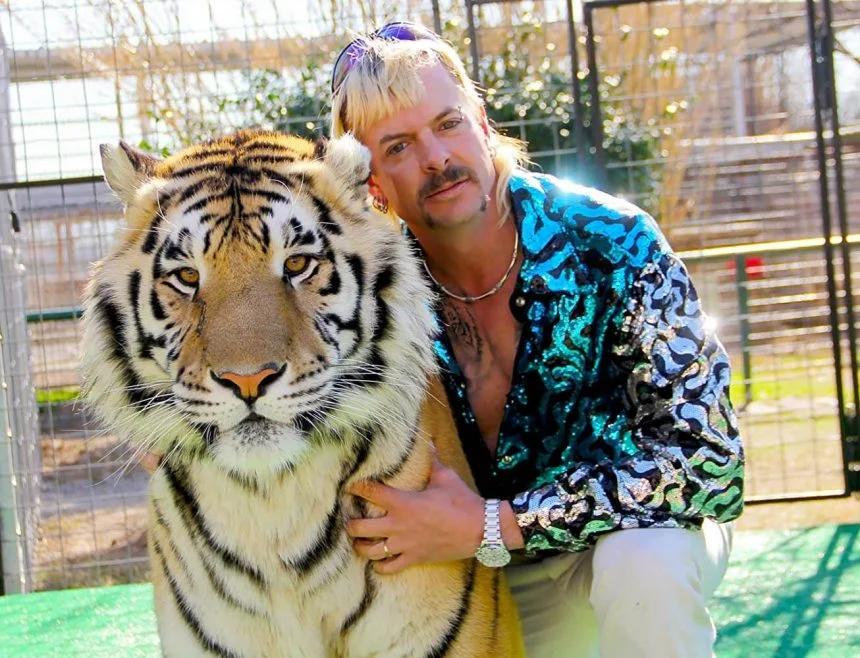 tigerking10