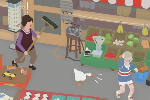 untitled goose game vassoura