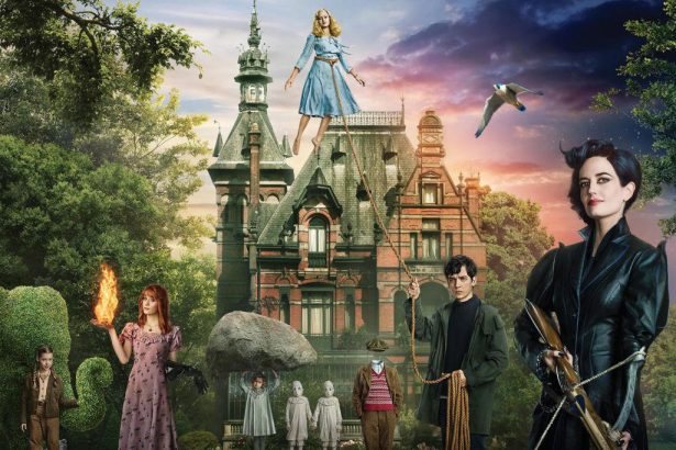 vandorsolyom kisasszony mini