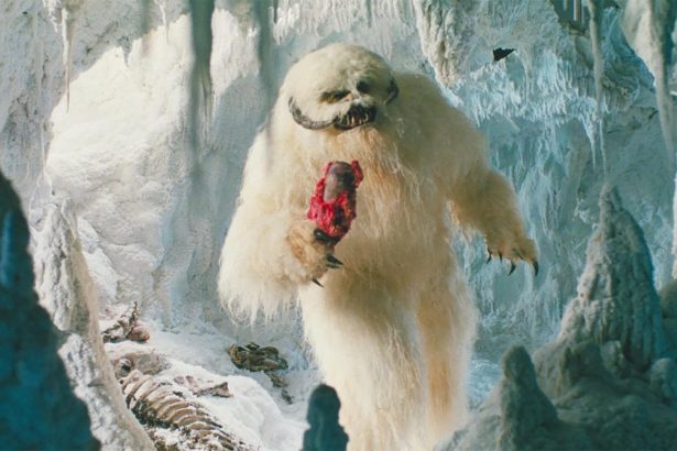 Wampa
