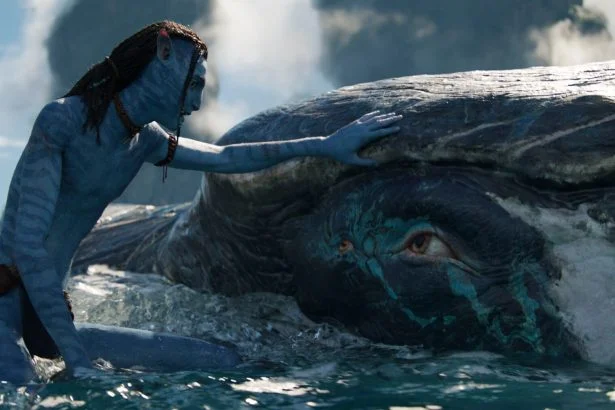 Avatar: A víz útja