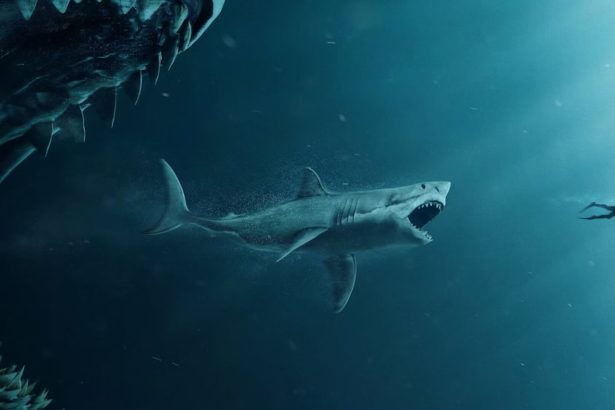 ws 47 meters down 3 240509 094656