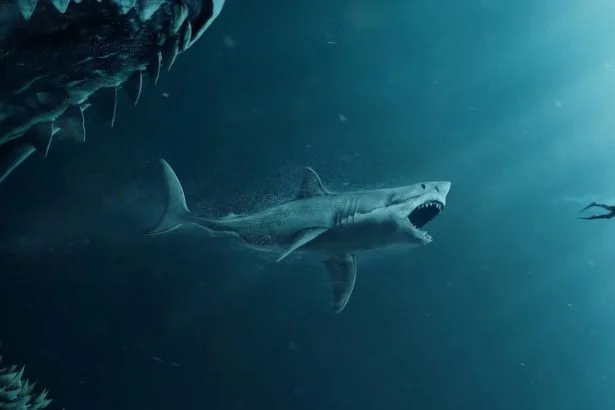 ws 47 meters down 3 240509 094656