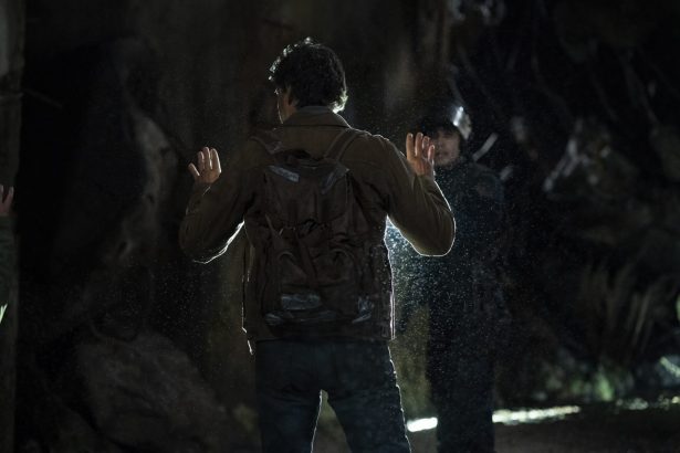 The Last of Us