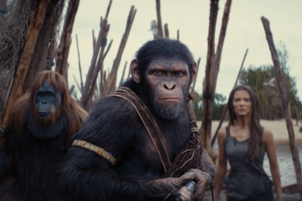 A majmok bolygója: A birodalom