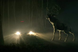 Bambi: The Reckoning