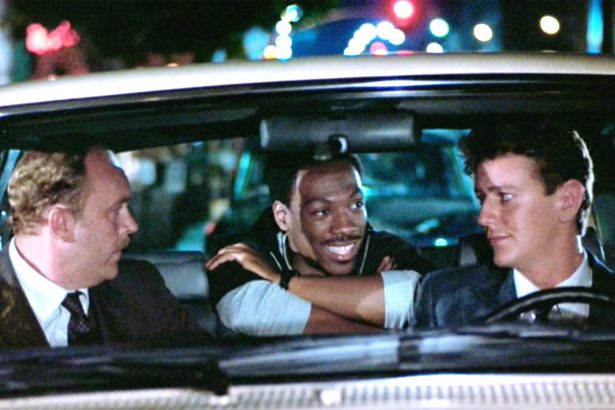 Beverly Hills-i zsaru