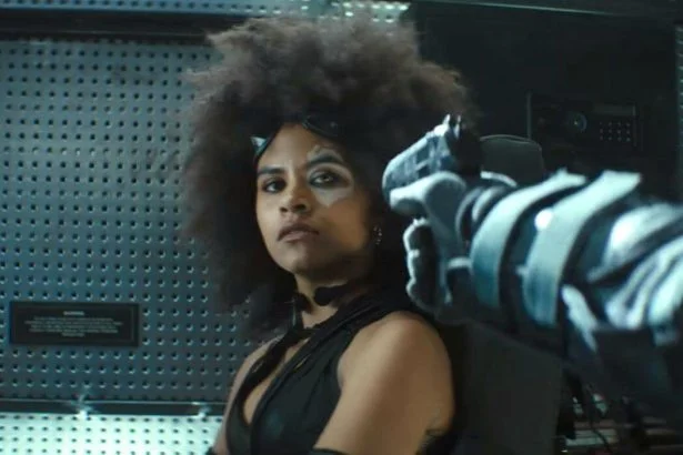 Domino
