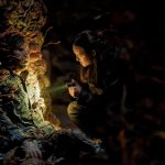 The Last of Us