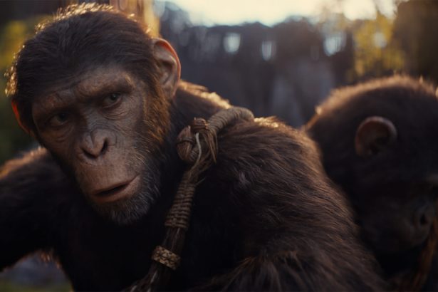 A majmok bolygója: A birodalom