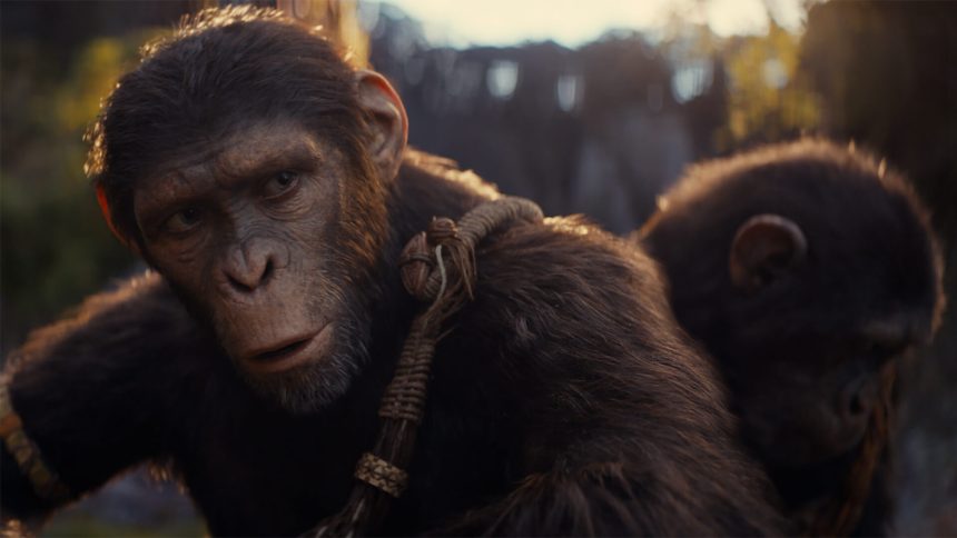 A majmok bolygója: A birodalom