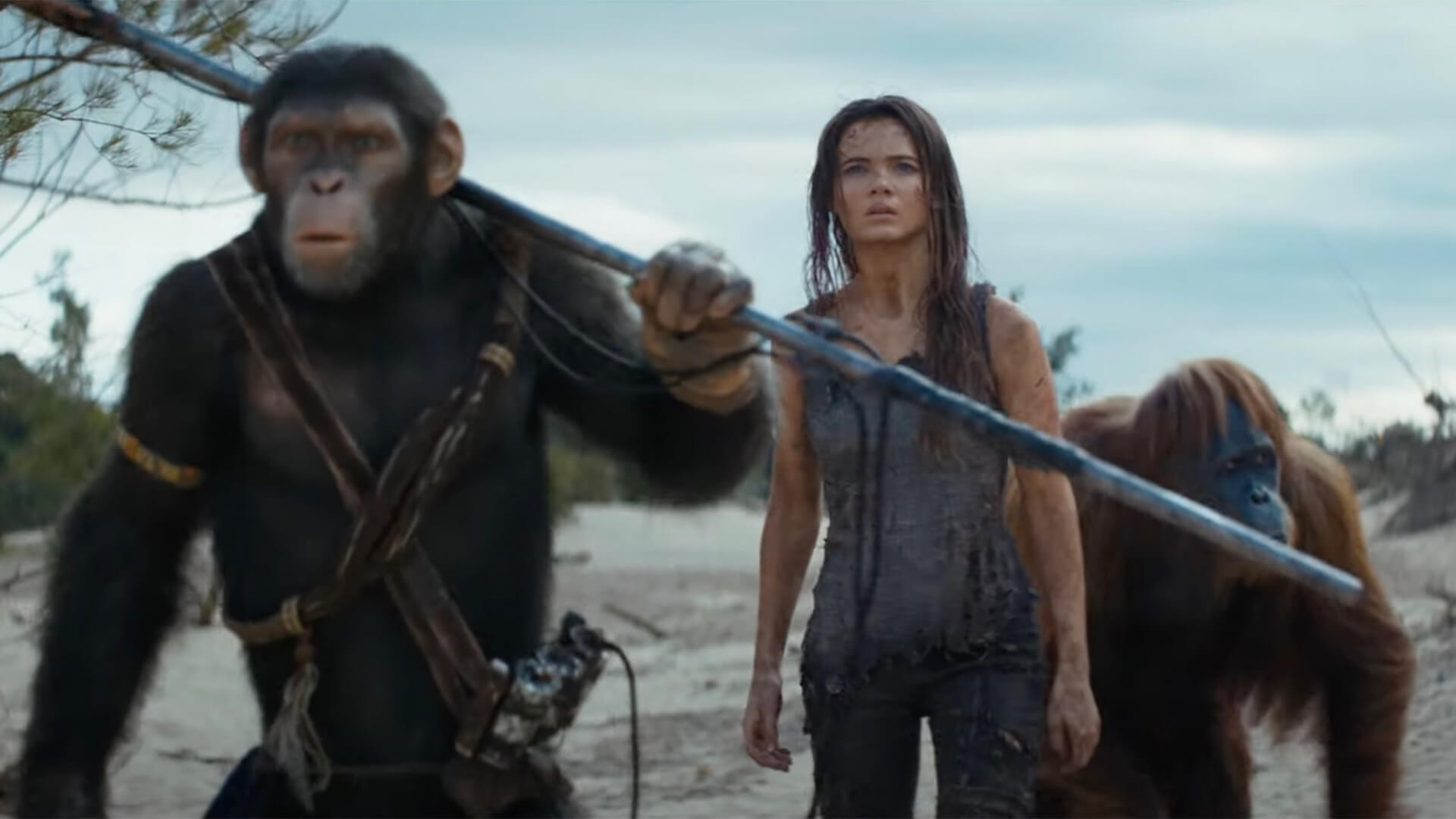 A majmok bolygója: A birodalom