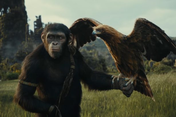 A majmok bolygója: A birodalom