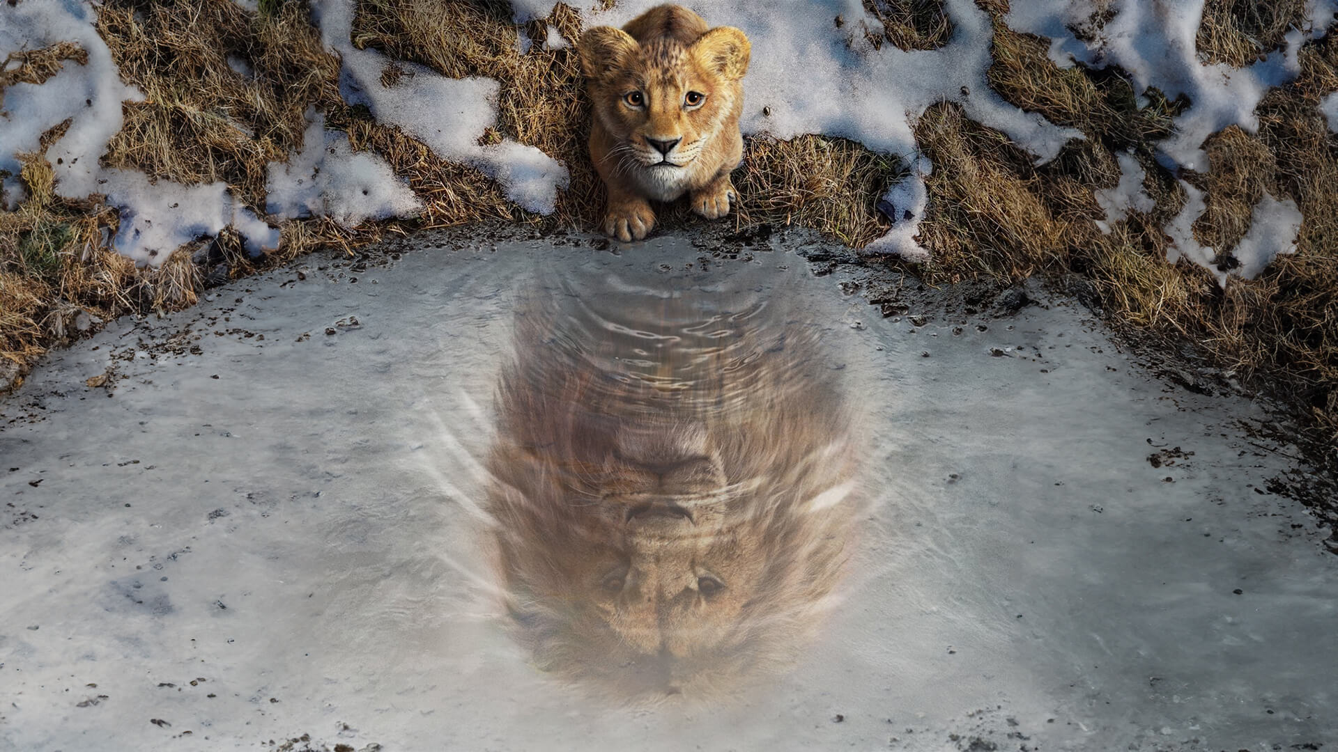 Mufasa: Az oroszlánkirály