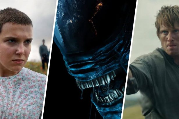 ws Rebo boritok 1 250202 033839