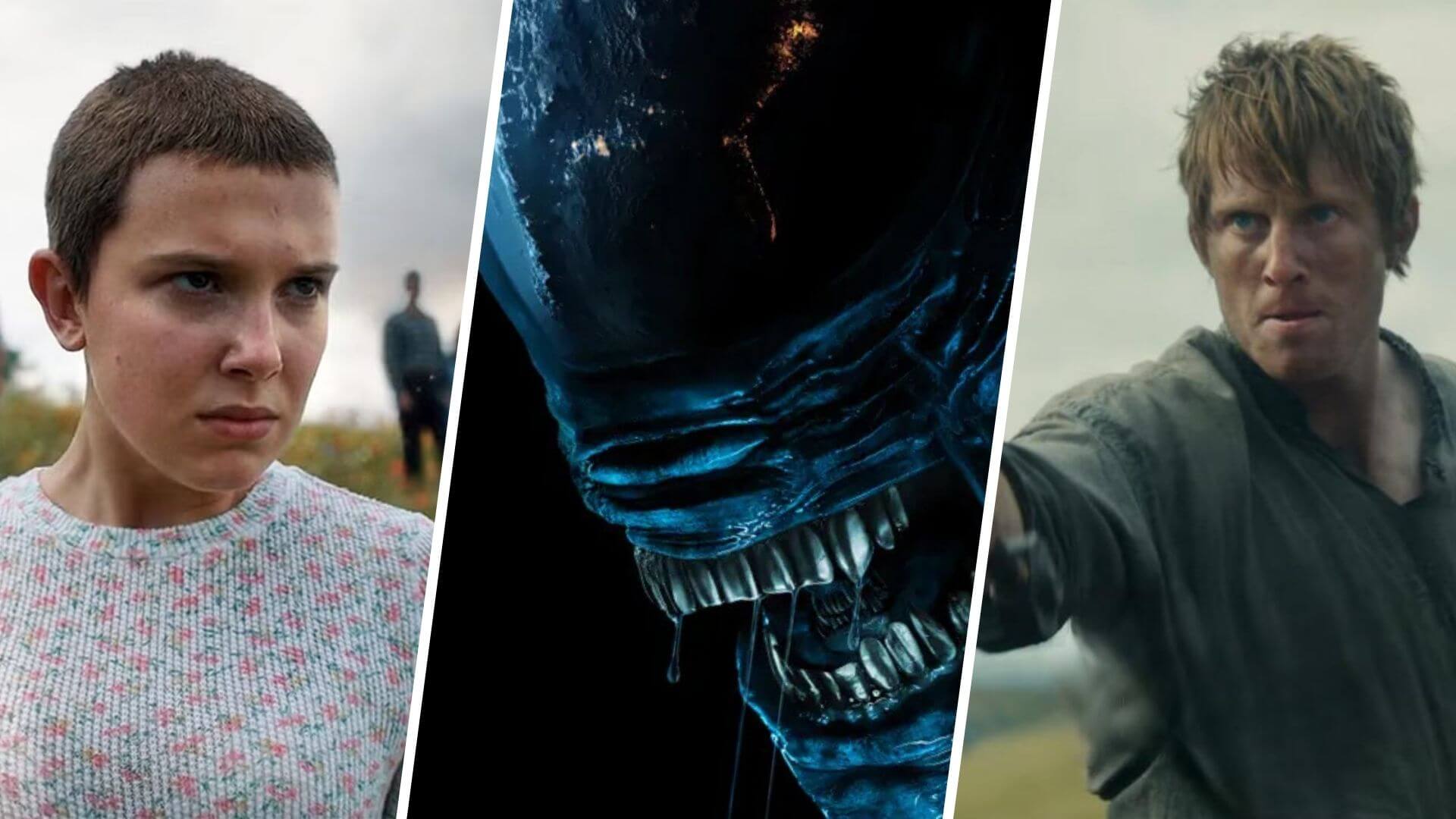 ws Rebo boritok 1 250202 033839