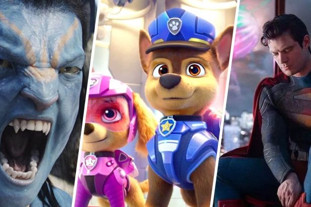 ws Rebo boritok 1 250308 092906