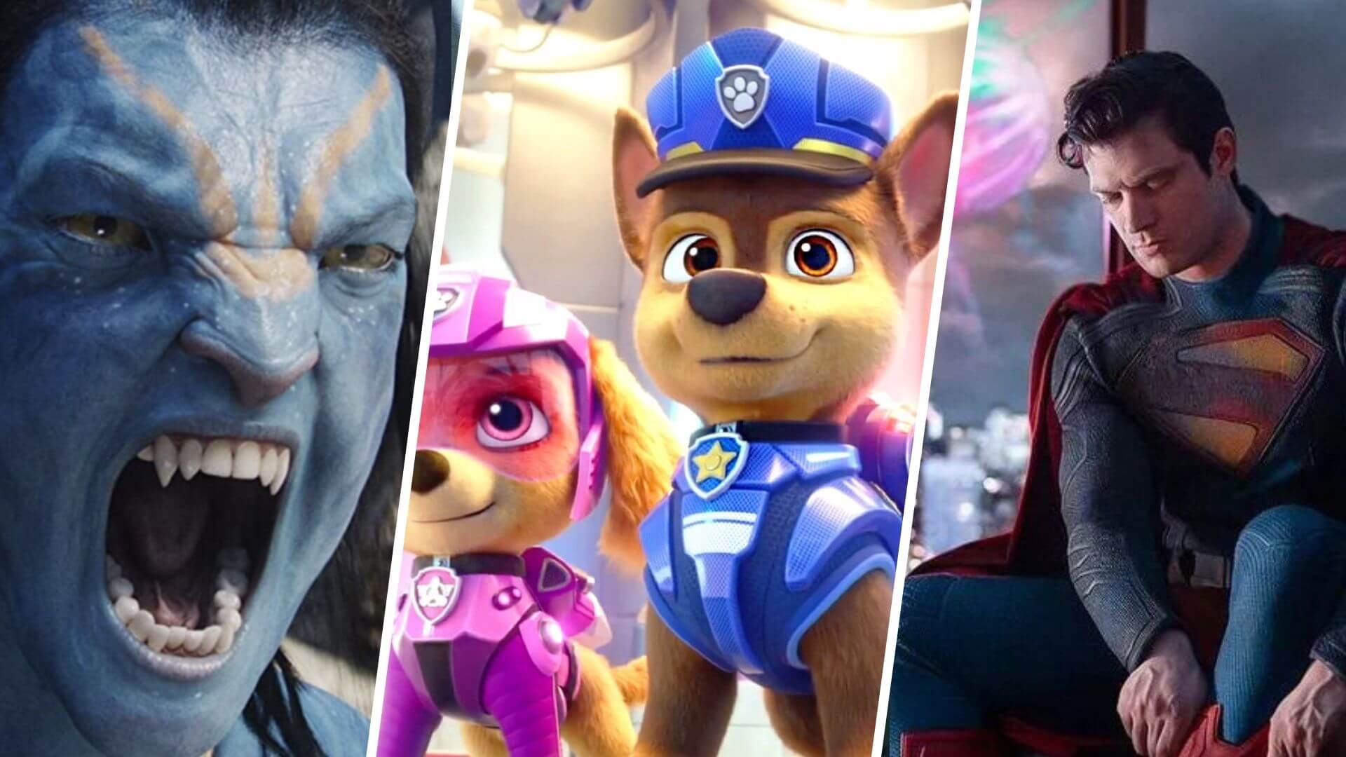 ws Rebo boritok 1 250308 092906