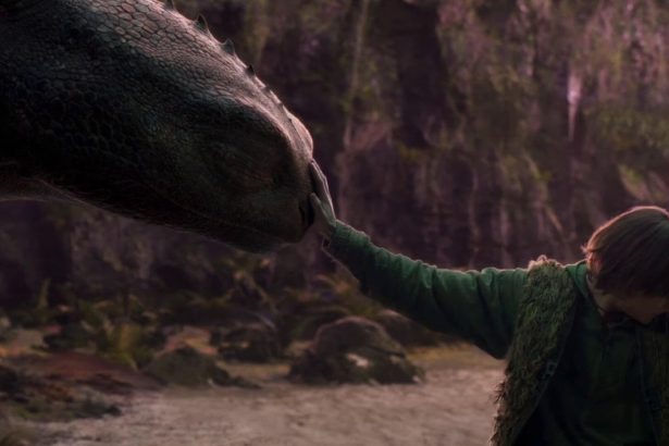 how to train your dragon