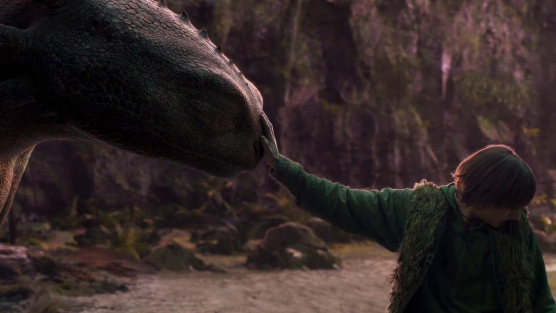 how to train your dragon