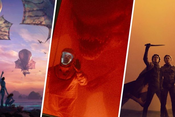 ws Rebo boritok 250208 102813