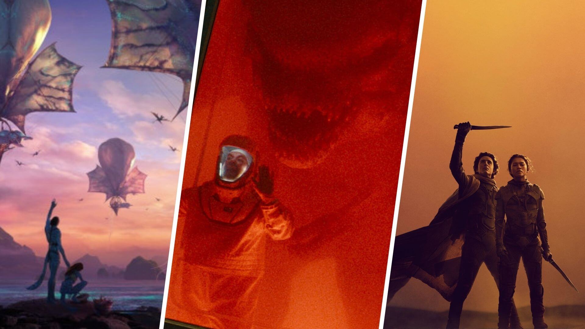 ws Rebo boritok 250208 102813