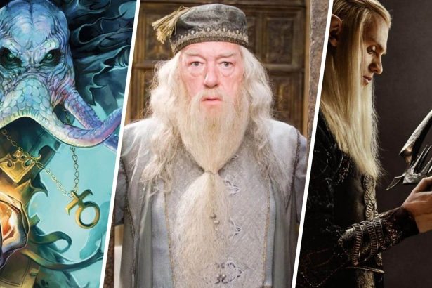 ws Rebo boritok 250215 075257