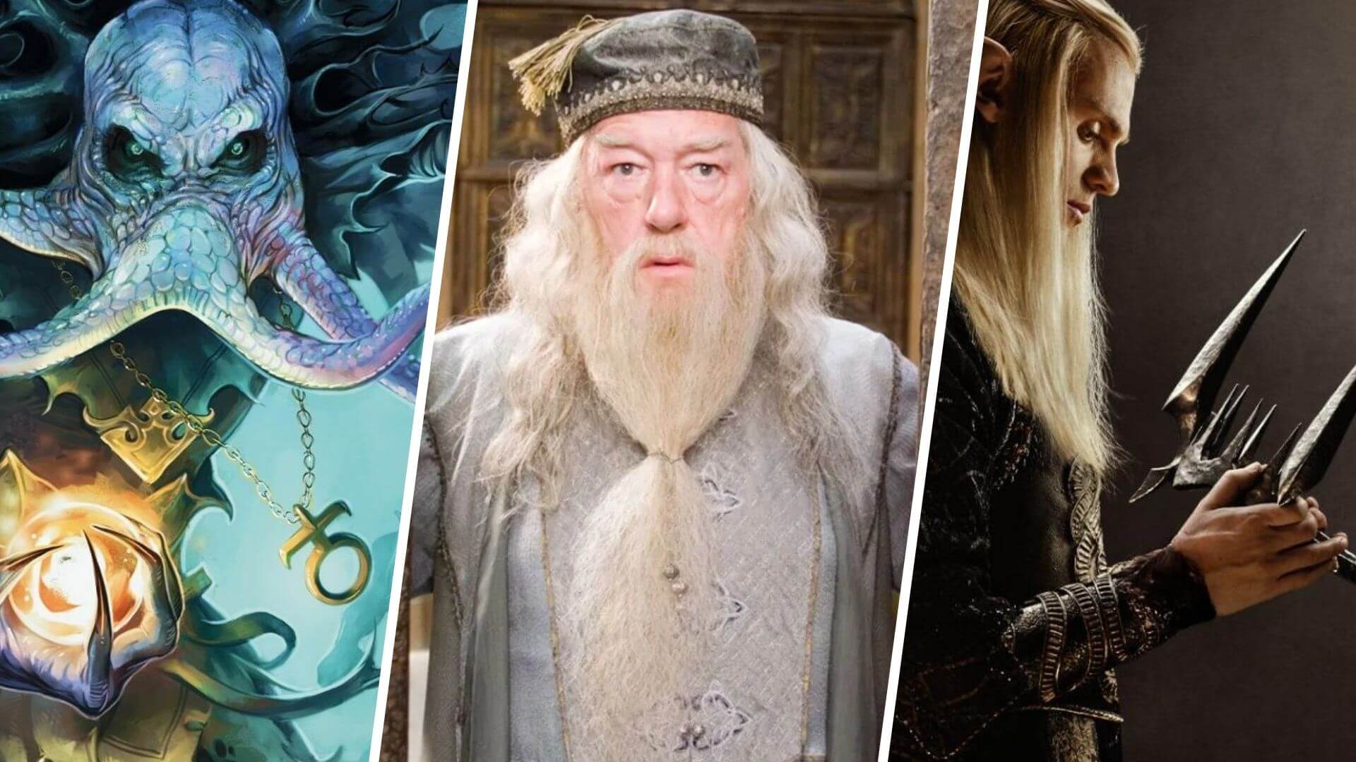 ws Rebo boritok 250215 075257