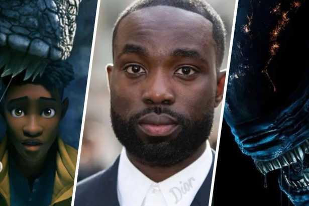 ws Rebo boritok 250308 092449