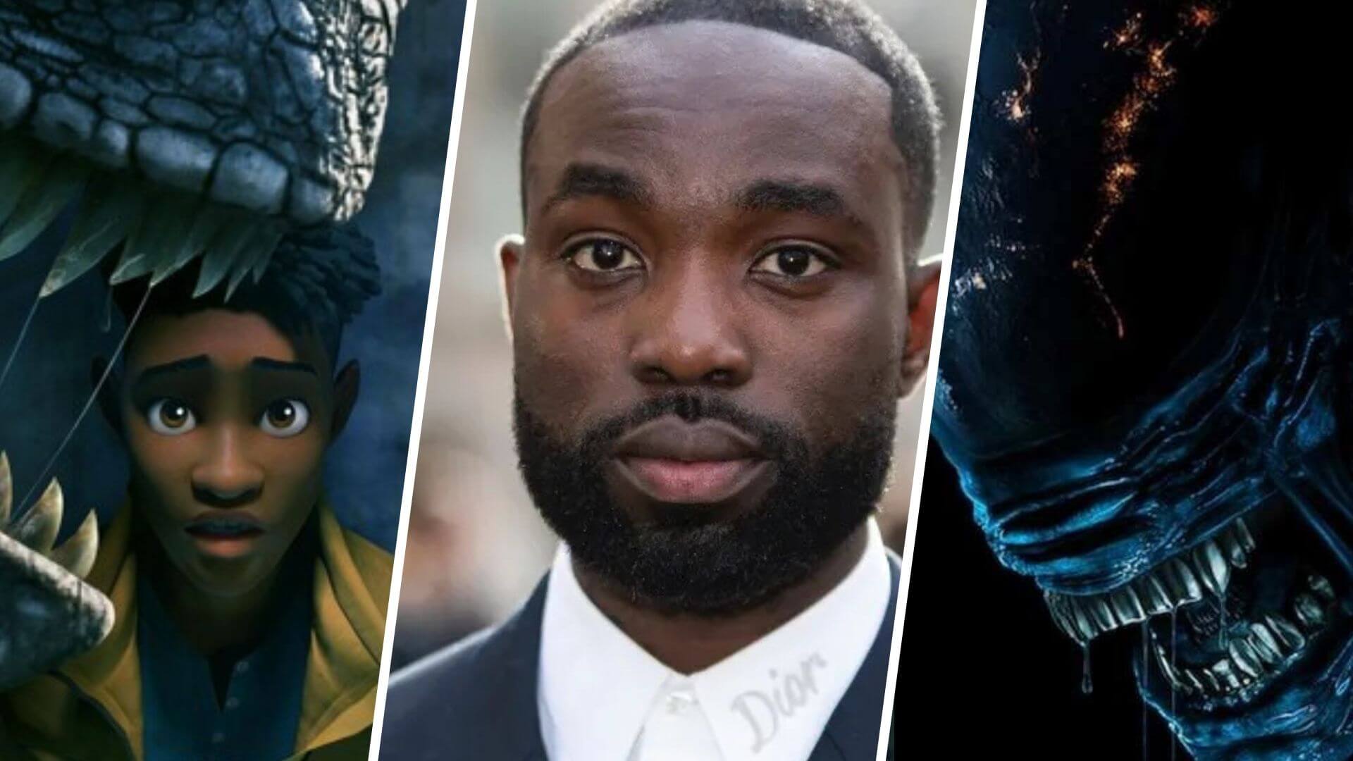 ws Rebo boritok 250308 092449