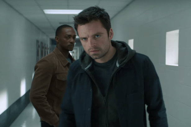 The Falcon and the Winter Soldier