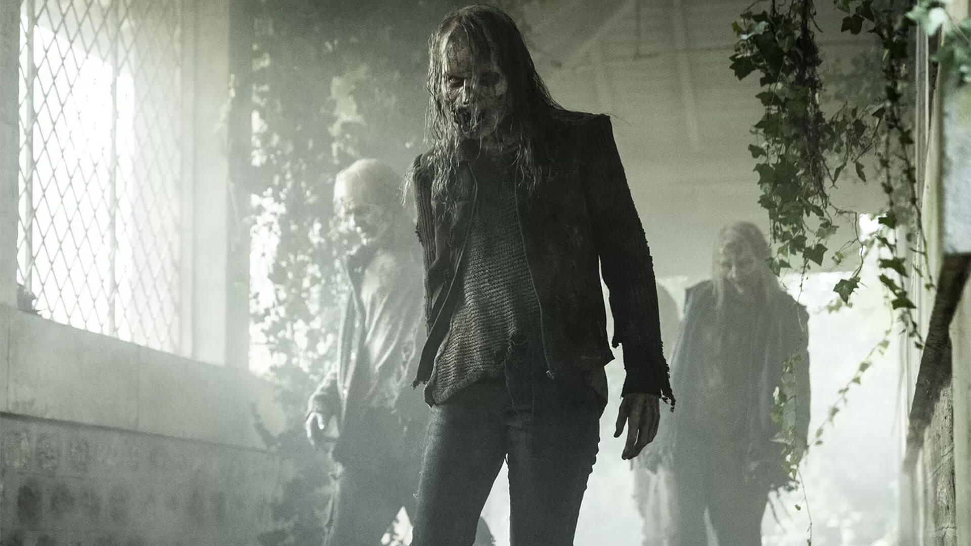 The Walking Dead: Daryl Dixon