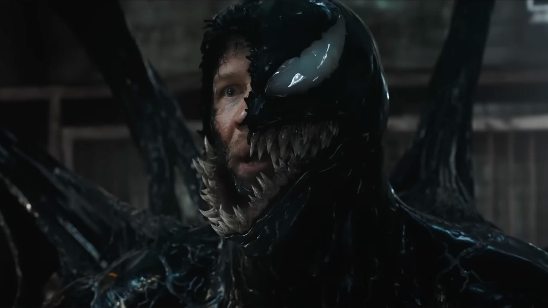 Venom - Az utolsó menet