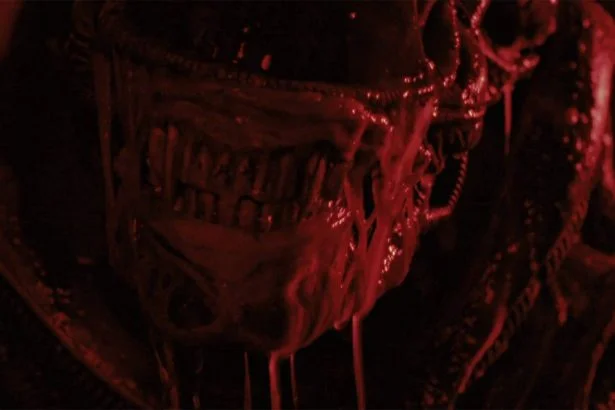 Alien