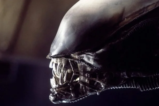 Alien